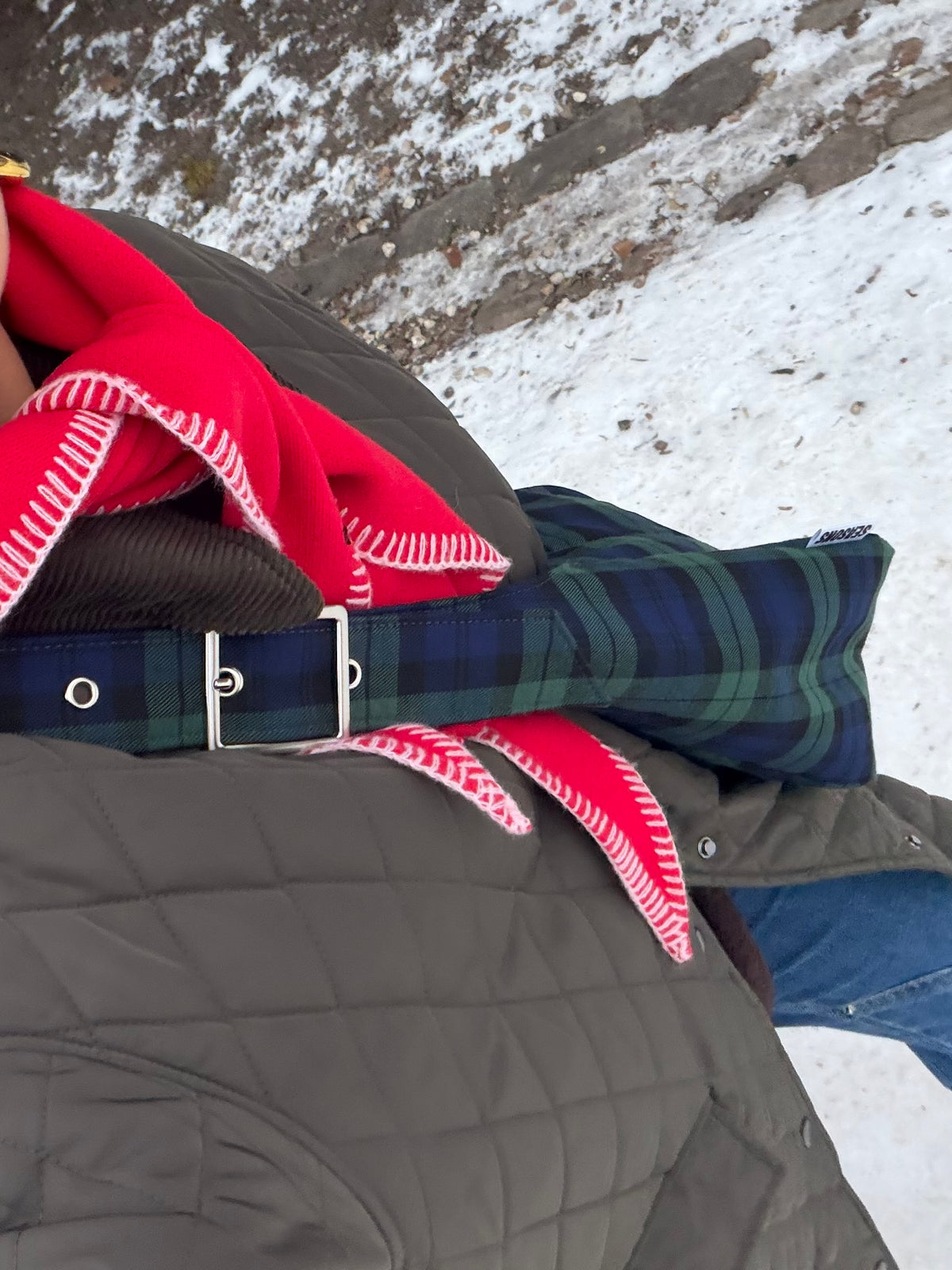 Nordic Bag (January 31st - 10am)